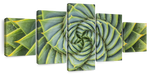 Spiral Succulent Wall Art