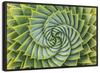 Spiral Succulent Wall Art