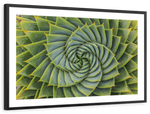 Spiral Succulent Wall Art