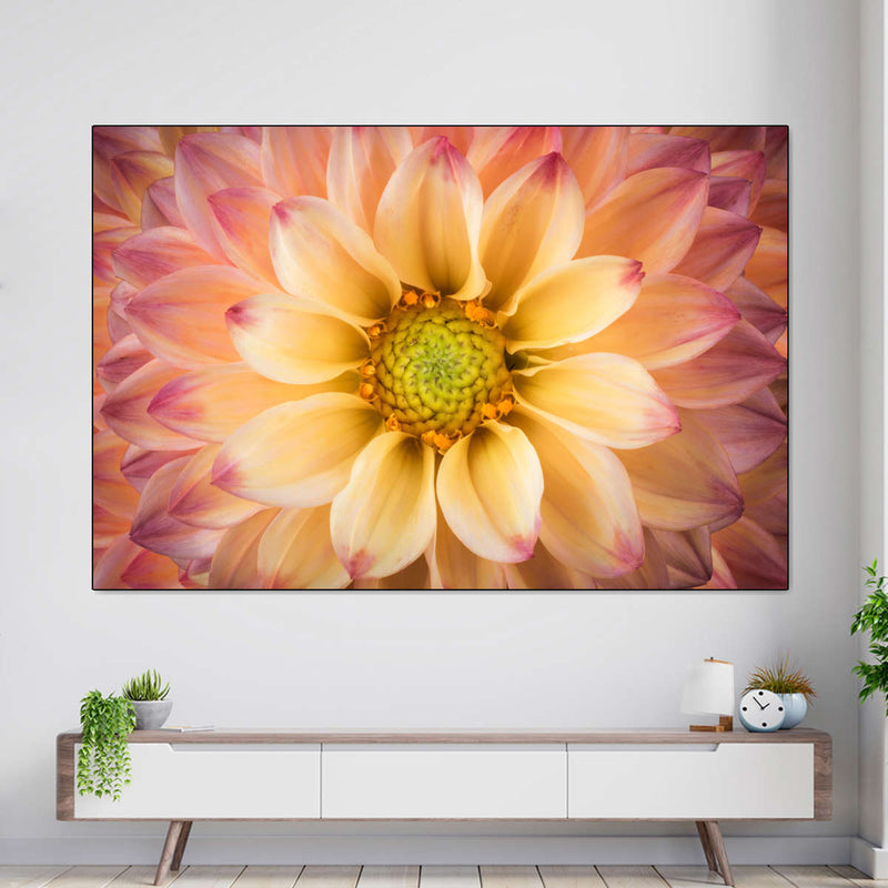 Lovely Dahlia Wall Art