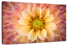 Lovely Dahlia Wall Art