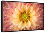 Lovely Dahlia Wall Art
