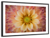 Lovely Dahlia Wall Art