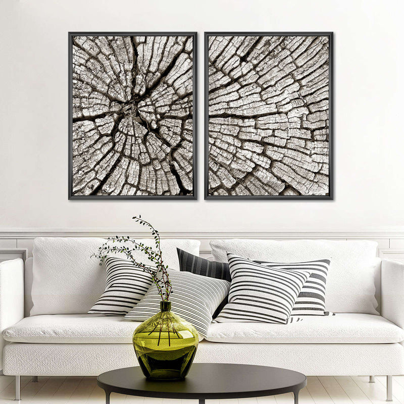 Tree Stump Wall Art