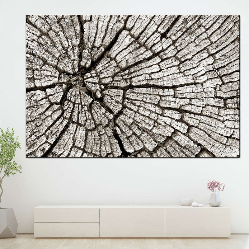 Tree Stump Wall Art