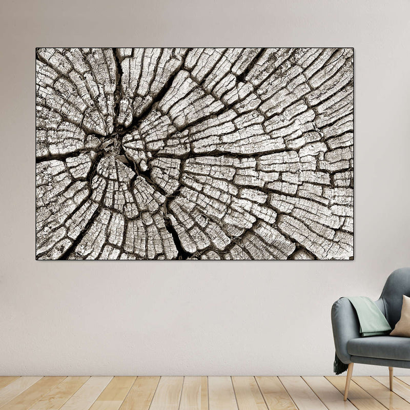 Tree Stump Wall Art