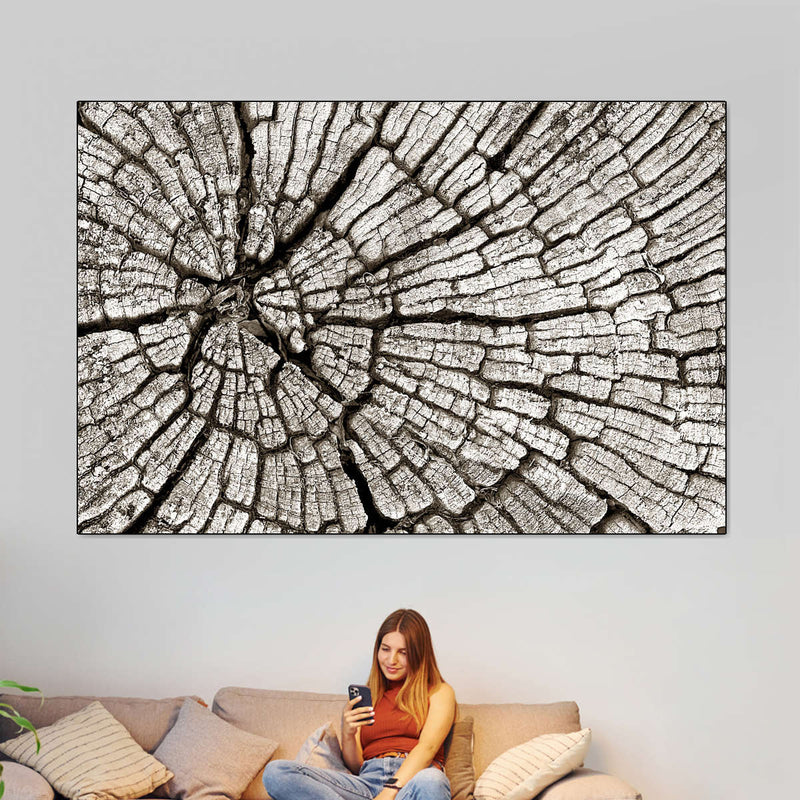 Tree Stump Wall Art