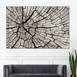 Tree Stump Wall Art