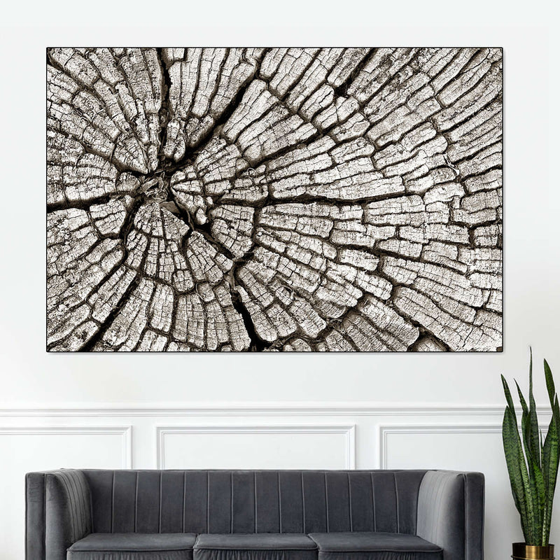 Tree Stump Wall Art