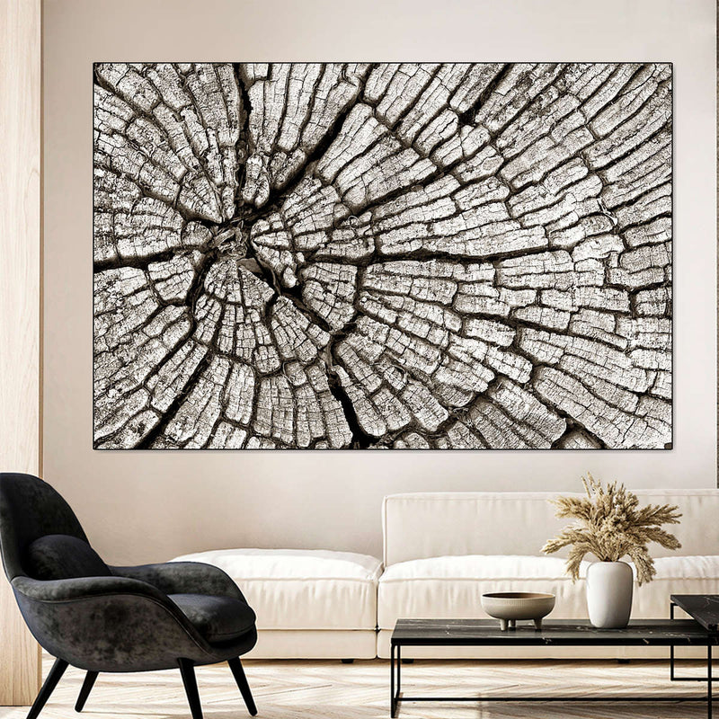 Tree Stump Wall Art
