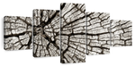 Tree Stump Wall Art