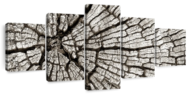 Tree Stump Wall Art