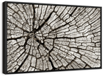 Tree Stump Wall Art