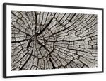 Tree Stump Wall Art