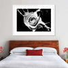 Rose Splash Wall Art