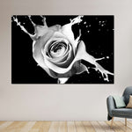 Rose Splash Wall Art