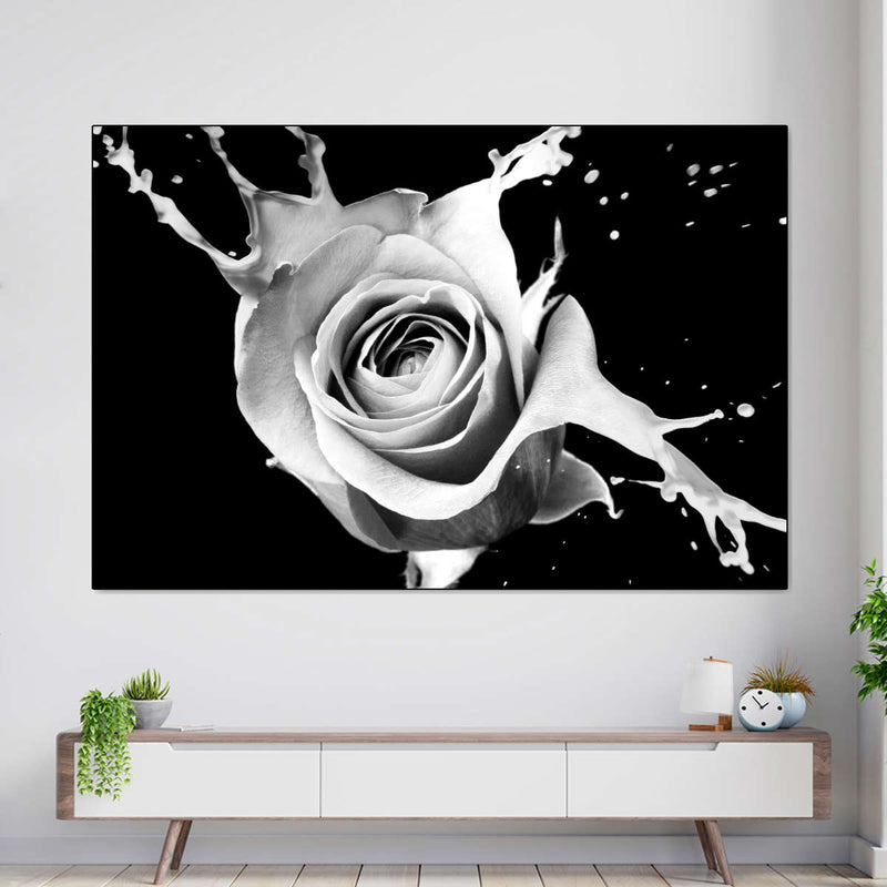 Rose Splash Wall Art