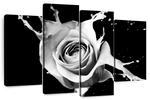 Rose Splash Wall Art