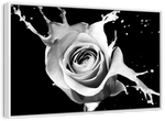 Rose Splash Wall Art