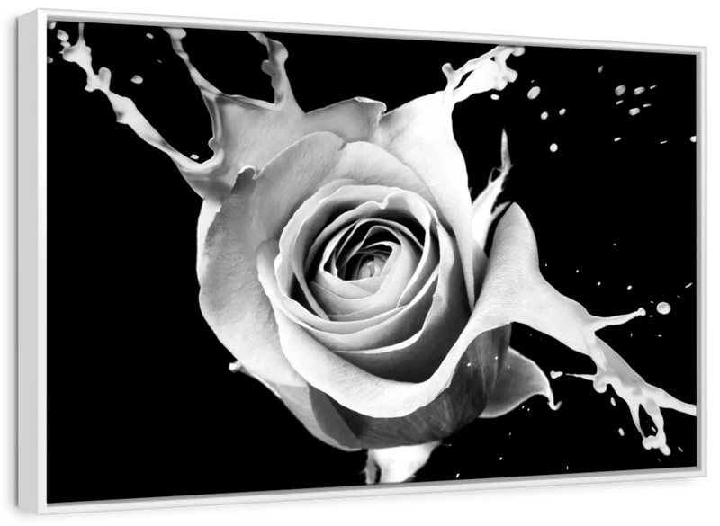 Rose Splash Wall Art