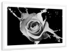 Rose Splash Wall Art