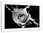 Rose Splash Wall Art