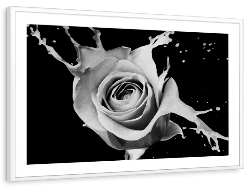 Rose Splash Wall Art