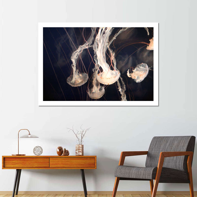 Light Of Jellyfish Wall Art