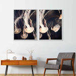 Light Of Jellyfish Wall Art