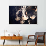 Light Of Jellyfish Wall Art