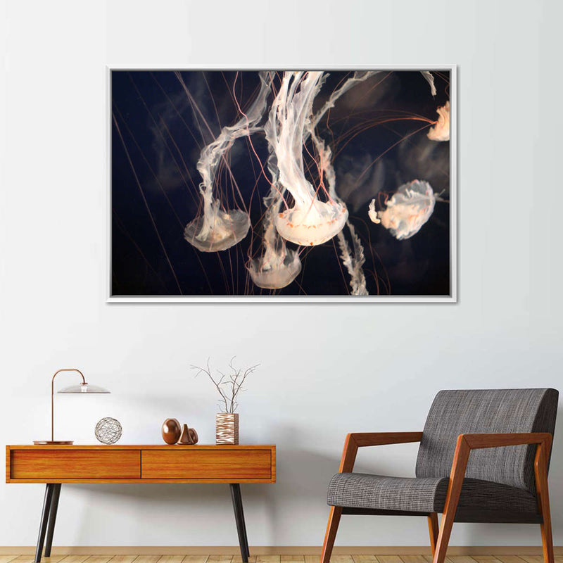 Light Of Jellyfish Wall Art