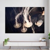 Light Of Jellyfish Wall Art