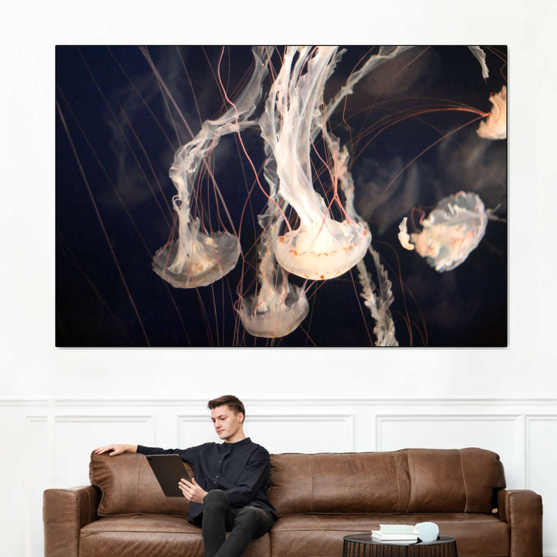 Light Of Jellyfish Wall Art