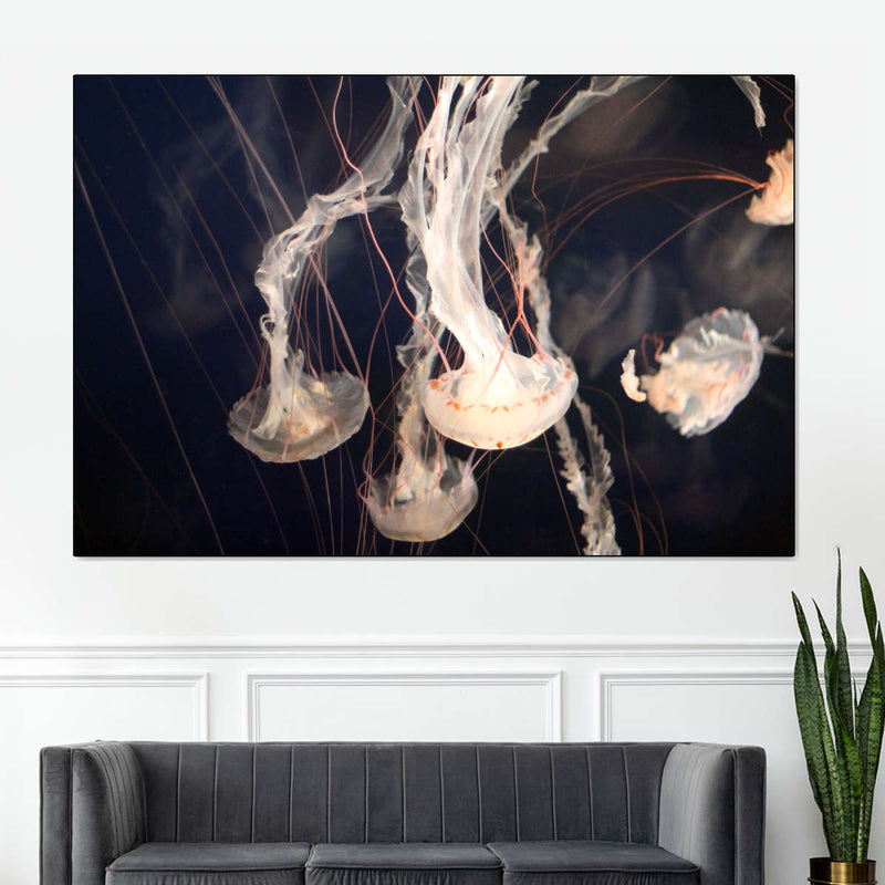 Light Of Jellyfish Wall Art