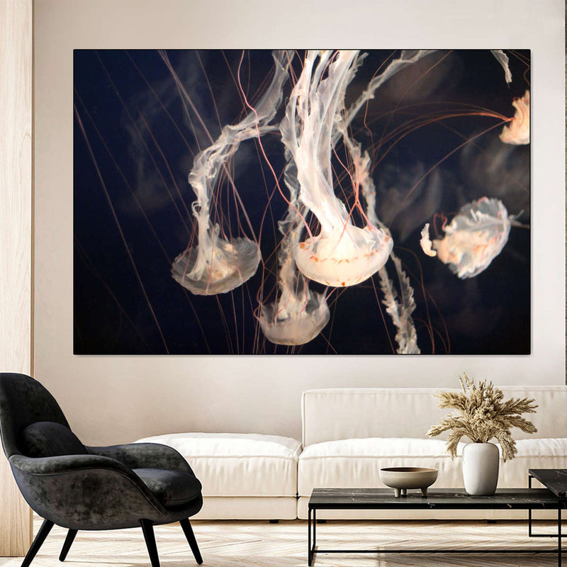 Light Of Jellyfish Wall Art