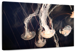 Light Of Jellyfish Wall Art