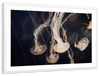 Light Of Jellyfish Wall Art