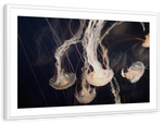Light Of Jellyfish Wall Art