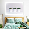Three Succulents Wall Art