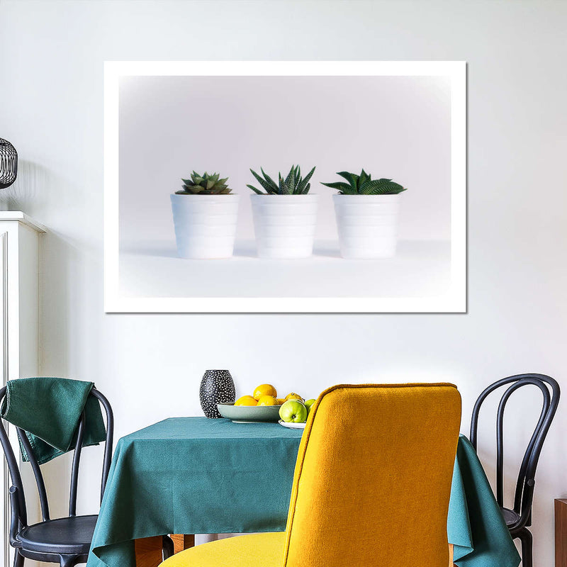 Three Succulents Wall Art