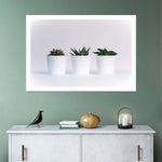 Three Succulents Wall Art