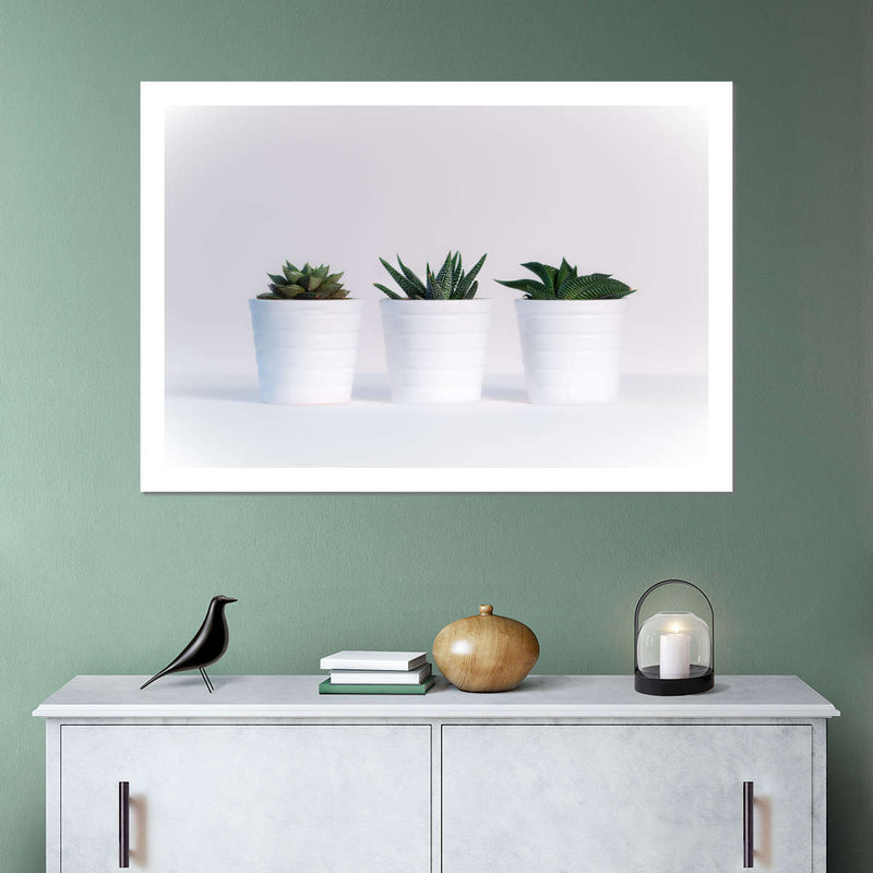 Three Succulents Wall Art