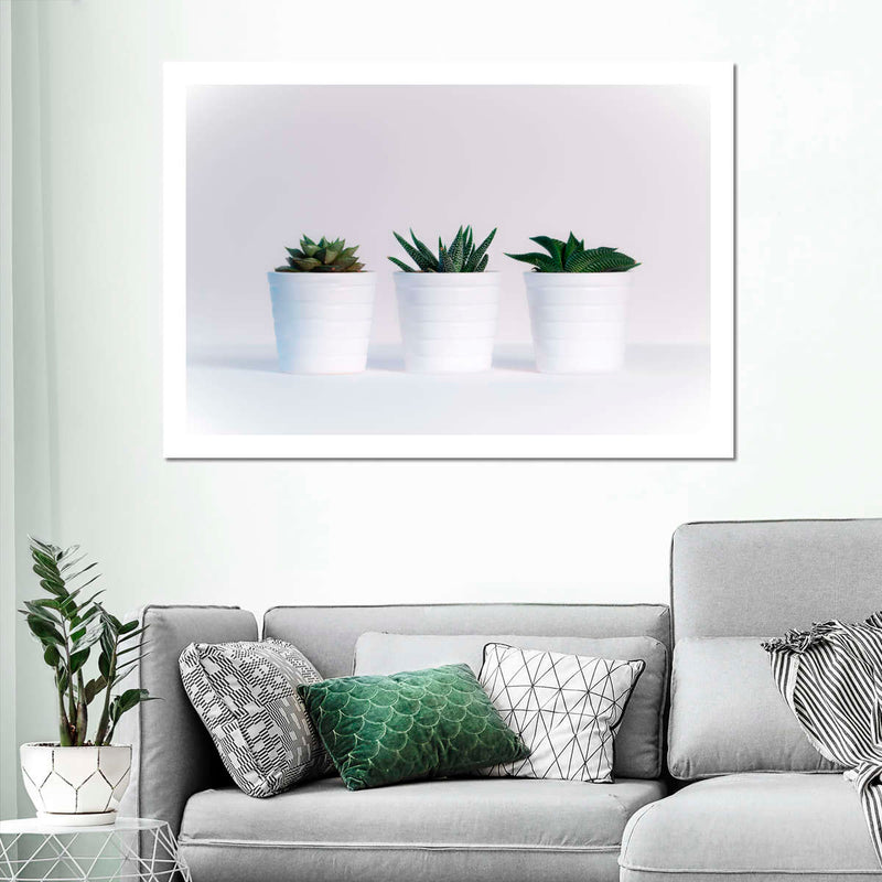 Three Succulents Wall Art