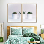 Three Succulents Wall Art