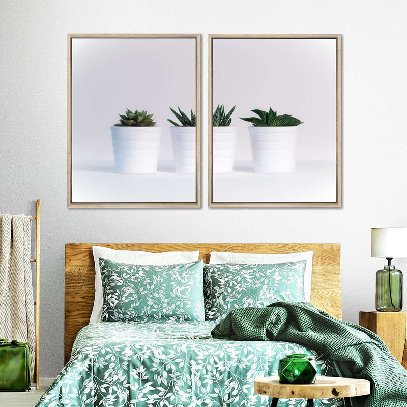 Three Succulents Wall Art