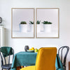 Three Succulents Wall Art