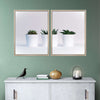 Three Succulents Wall Art