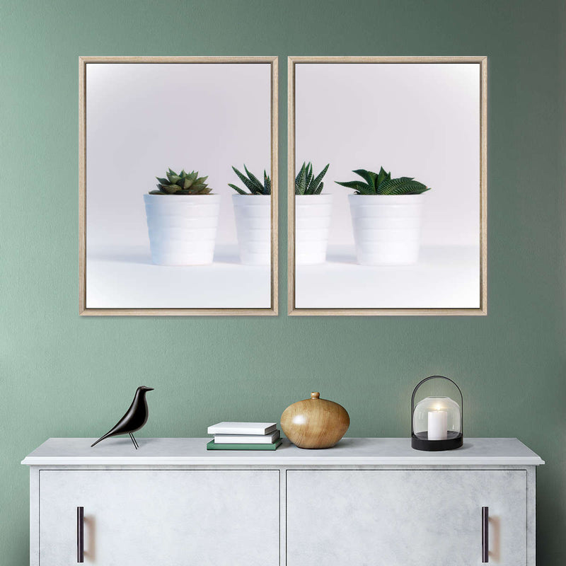 Three Succulents Wall Art