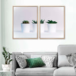 Three Succulents Wall Art