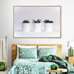 Three Succulents Wall Art